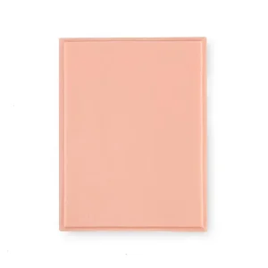 A Pound of Flesh Pink Tone 11x9 Inch Rectangle Plaque